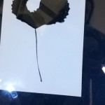 Fotók: A szerző felvételei
