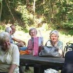 Fotók: Beküldött képek