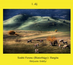 Szabó Ferenc képe bizonyult a legjobbnak az idei Tarka fotópályázaton