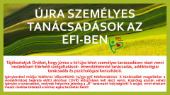 Újraindulnak a személyes tanácsadások az EFI-ben