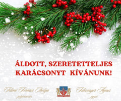 Áldott, szeretetteljes karácsonyt kívánunk mindenkinek!