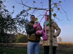 A szülőföld iránt érzett szeretetben gyökerezik az Életfa program üzenete