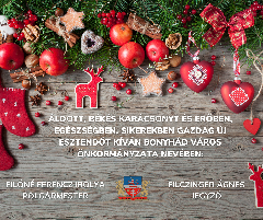 Áldott, szép karácsonyt kívánunk Önöknek!
