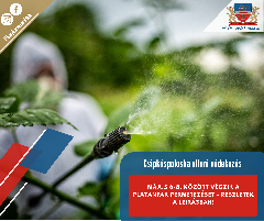 Csipkéspoloska elleni védekezés